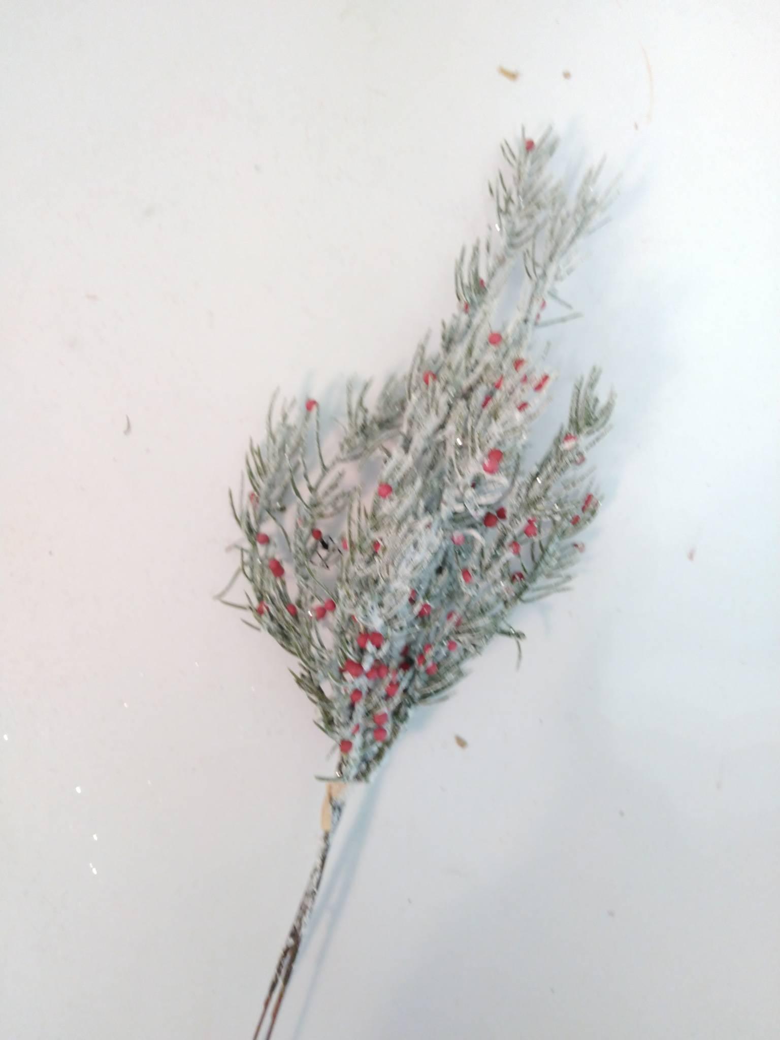 Gran-/Bærgren Dækket af Frost 38 cm.