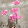 Kornblomst sort / Silkeblomst 65 cm.