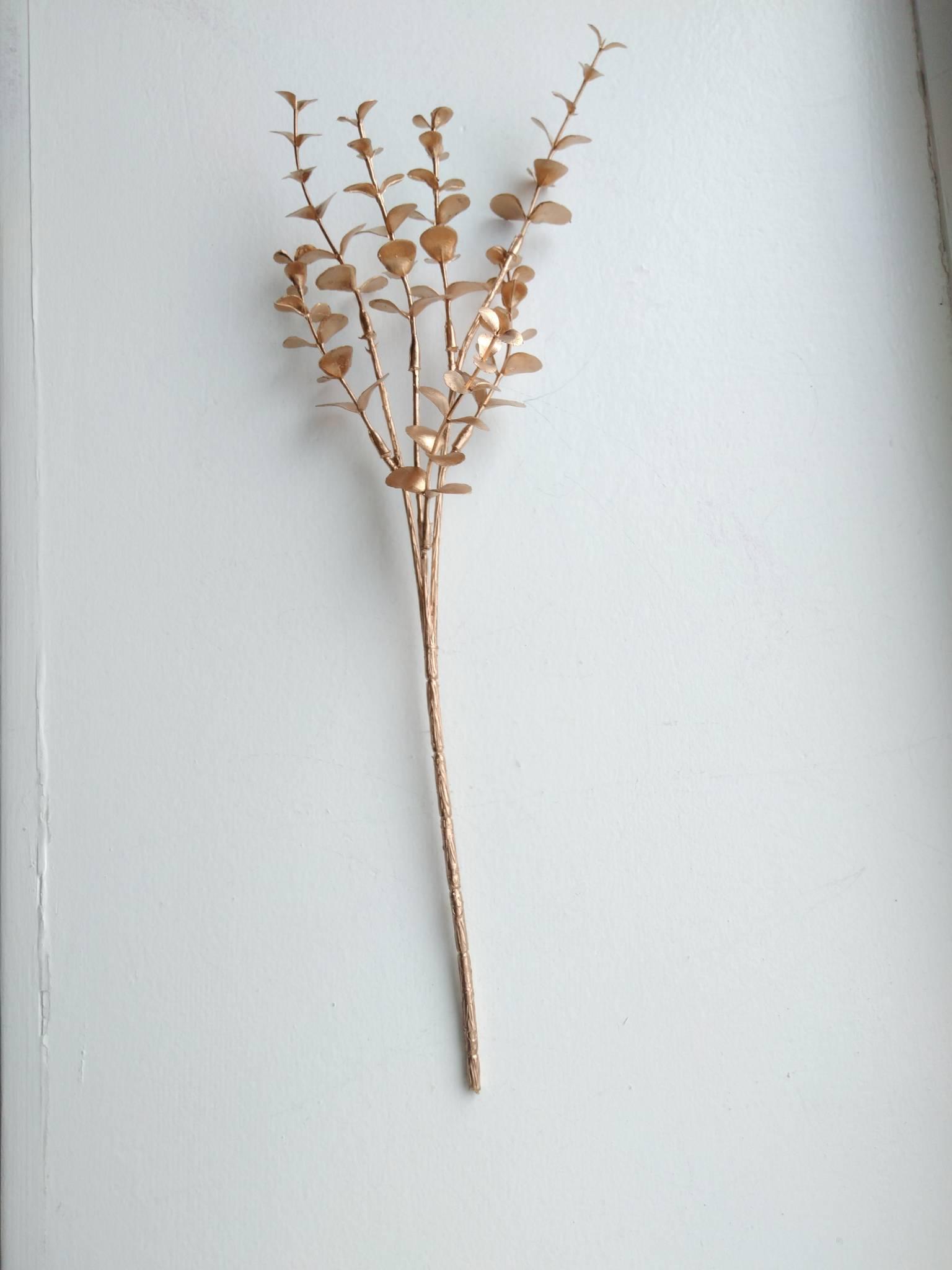 Eucalyptus / Silkeblomst