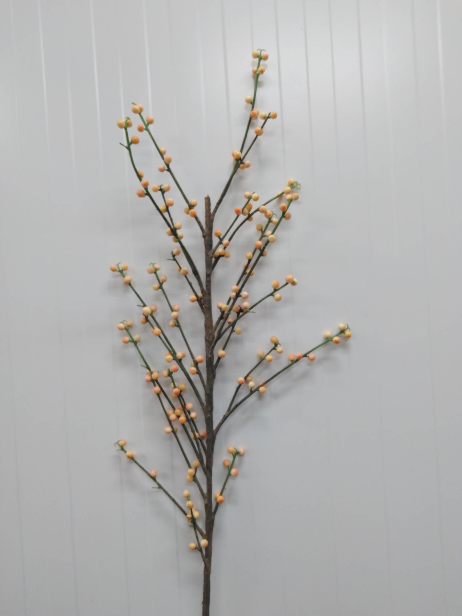Ilexgren orange 80 cm.
