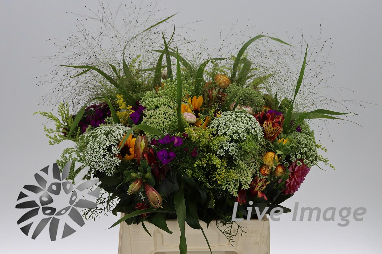 Zomerbloemen overig