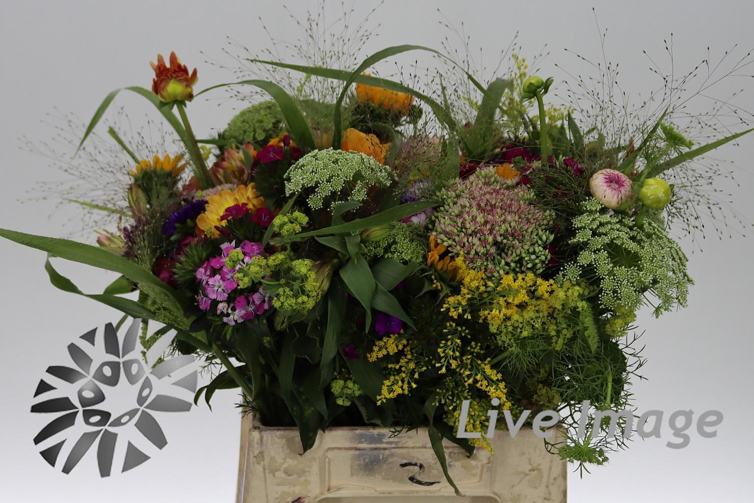 Gemengd boeket overig