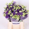 Eustoma russellianum gevuldbloemig 'Alissa Blue'