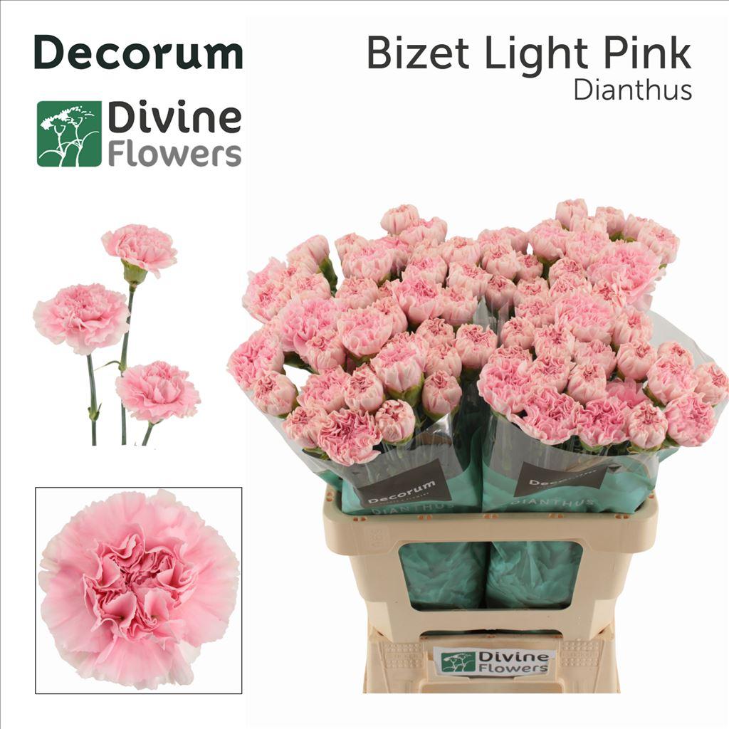 Snijbloemen overig