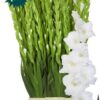 Snijbloemen overig