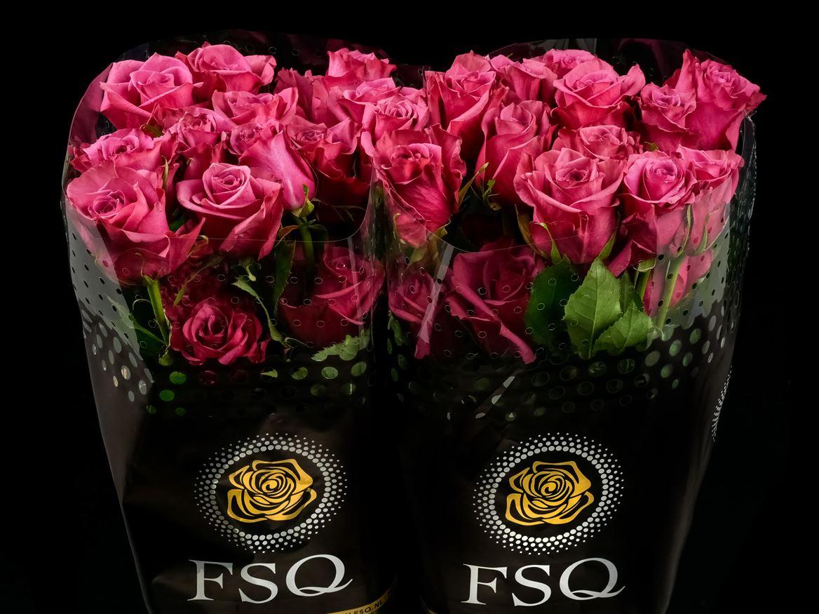 Rosa grootbloemig overig