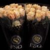 Rosa grootbloemig overig