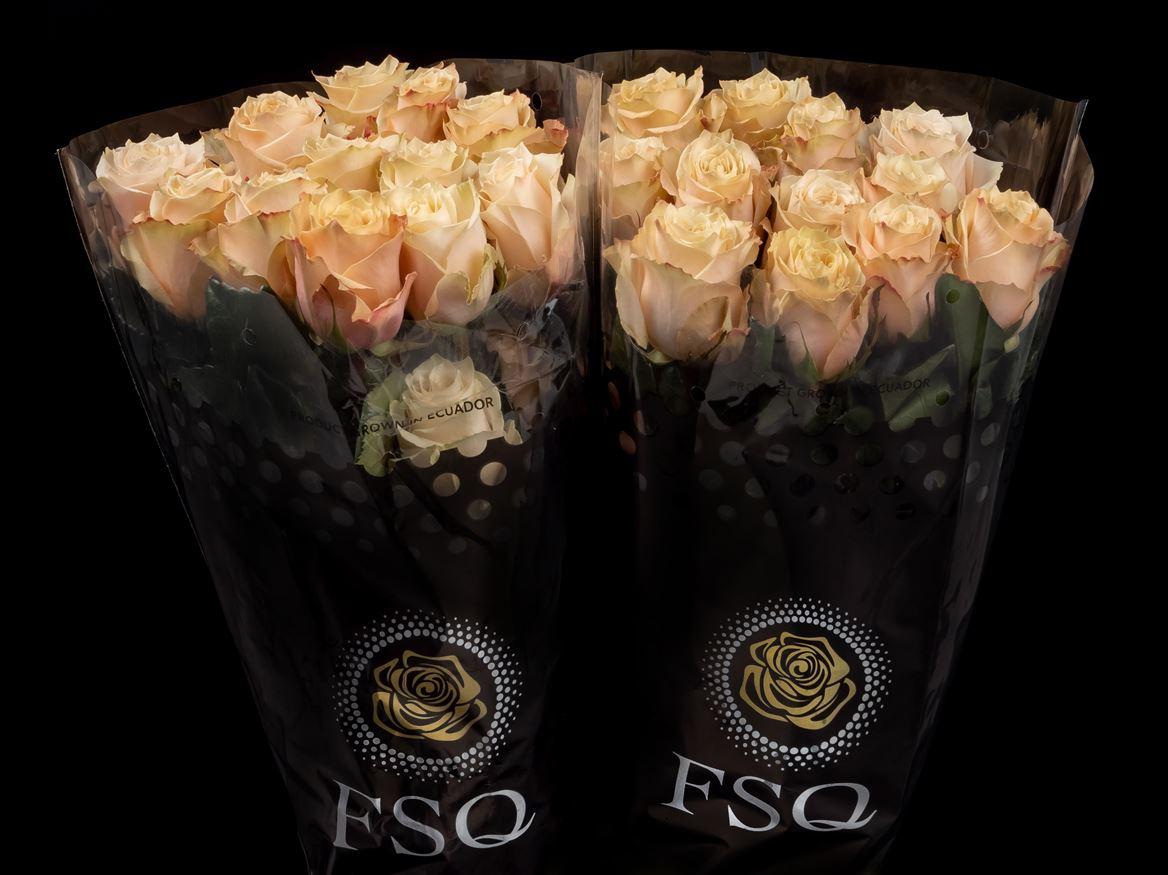 Rosa grootbloemig overig