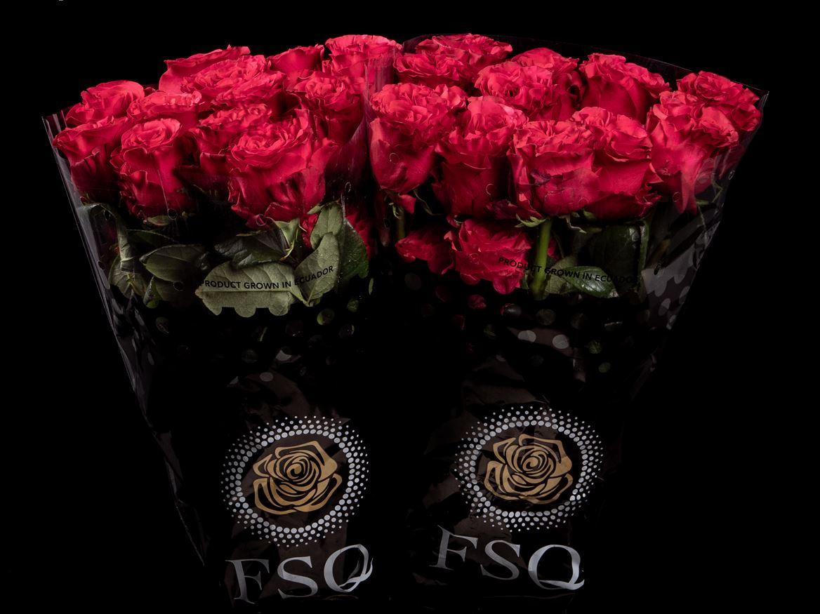 Rosa grootbloemig overig