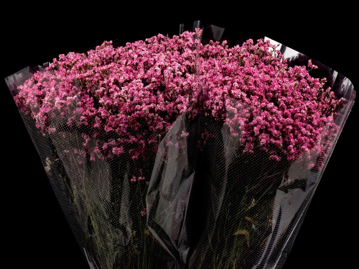 Limonium overig kleurbehandeld H%