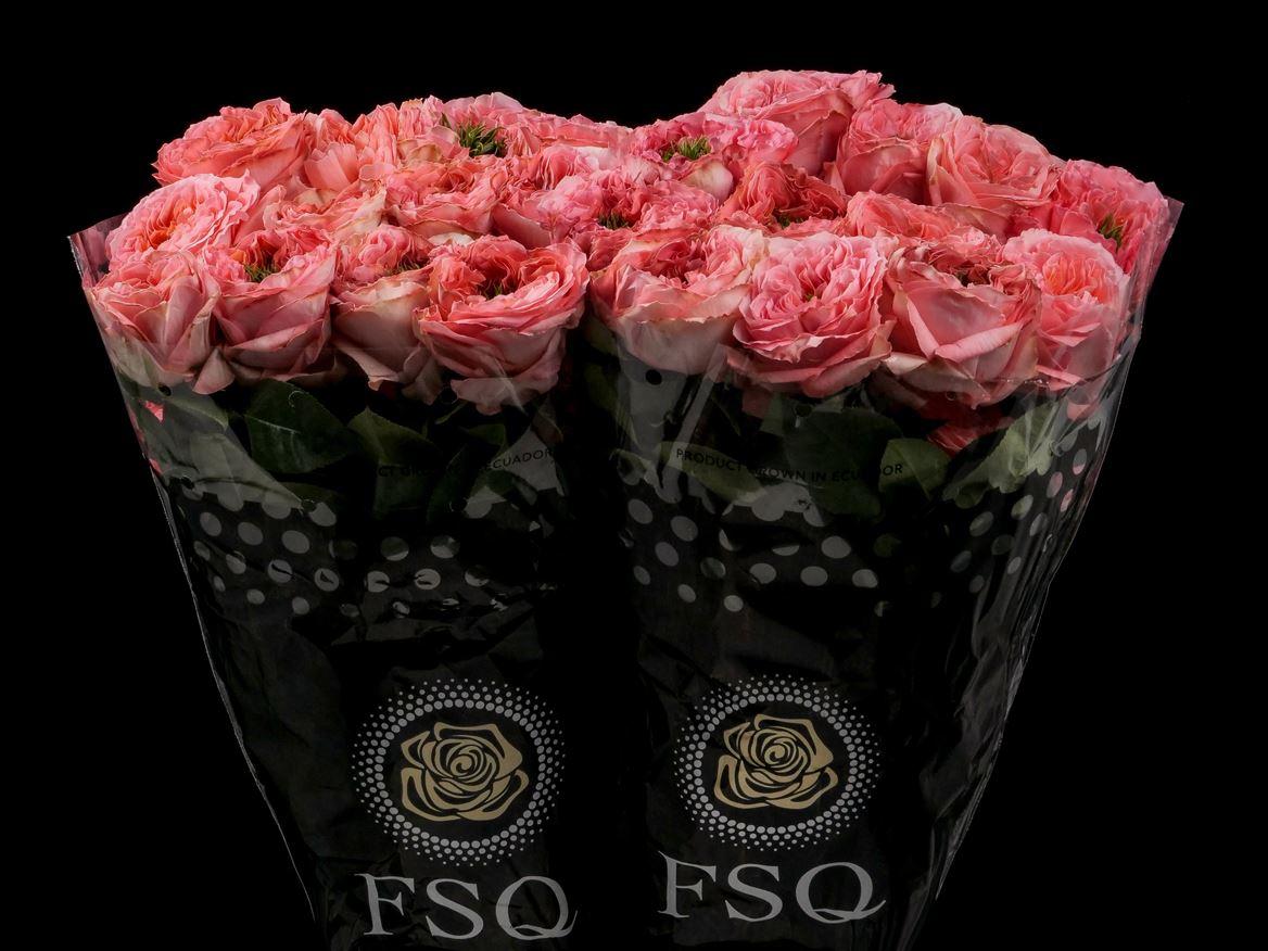 Rosa grootbloemig overig