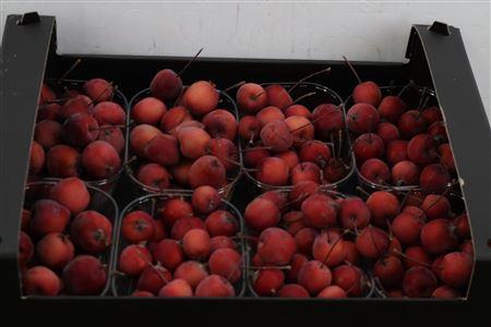 Siervruchten per bak Malus overig