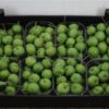 Siervruchten per bak Malus overig