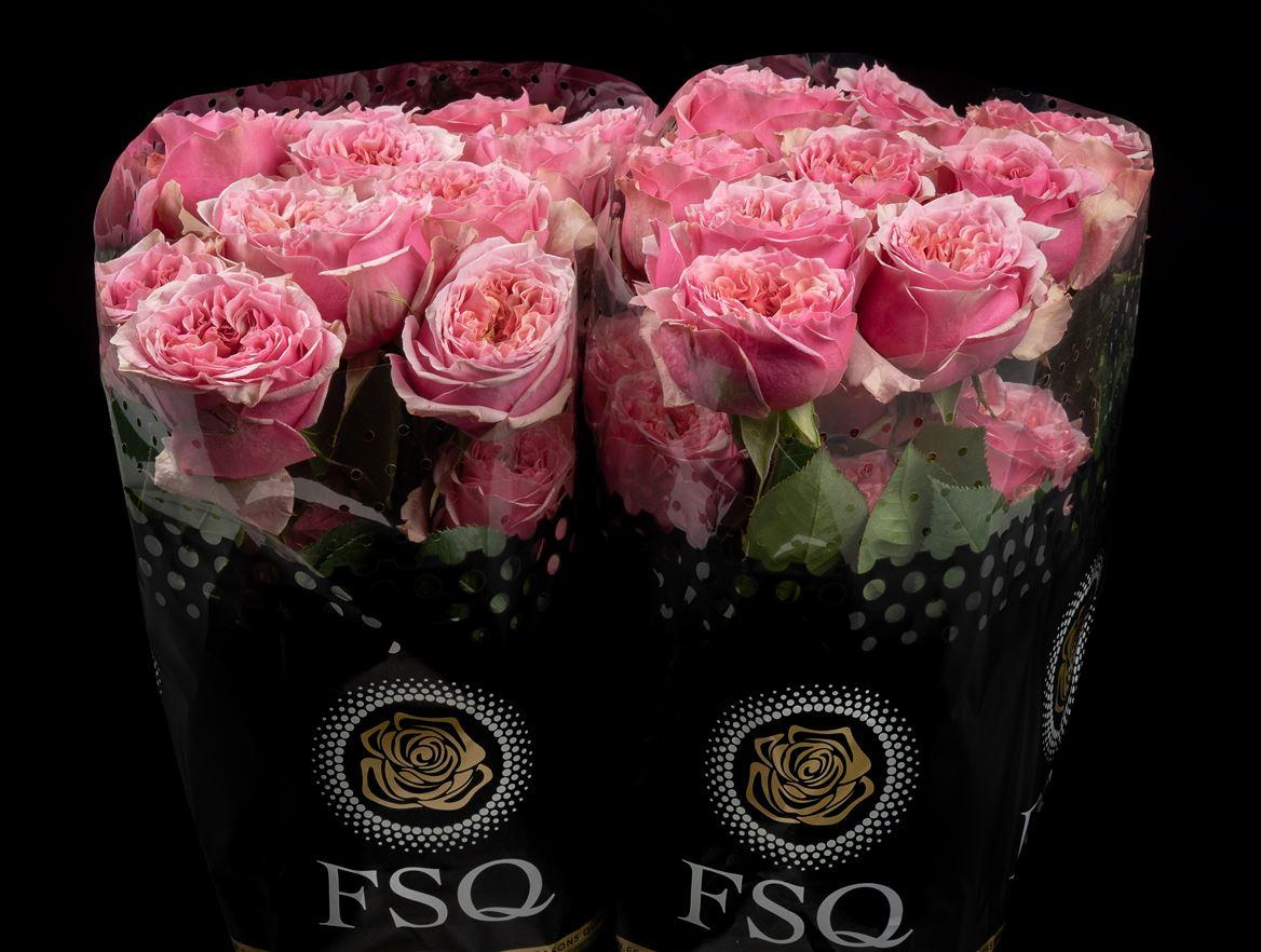 Rosa grootbloemig overig