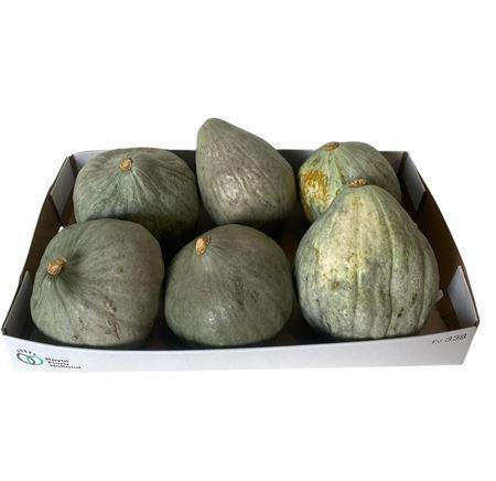 Cucurbita maxima 'Blue Hubbard'
