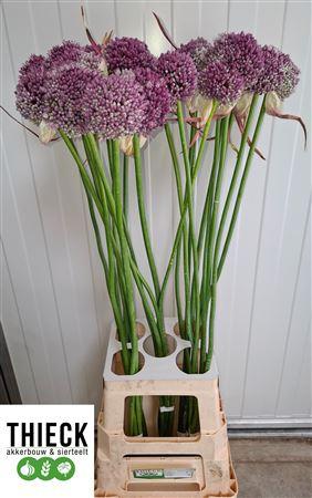 Snijbloemen overig