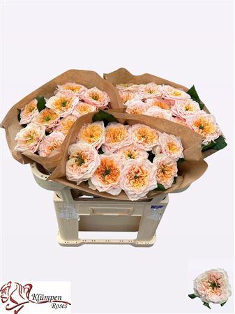 Snijbloemen overig