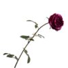 Rose Stem, Lilla 95 cm / Silkeblomst