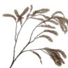 Fern Spray, Brun/Grøn 85 cm / Stikeblomst