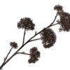 Queen An Lace Spray, Brun 97 cm / Silkeblomst
