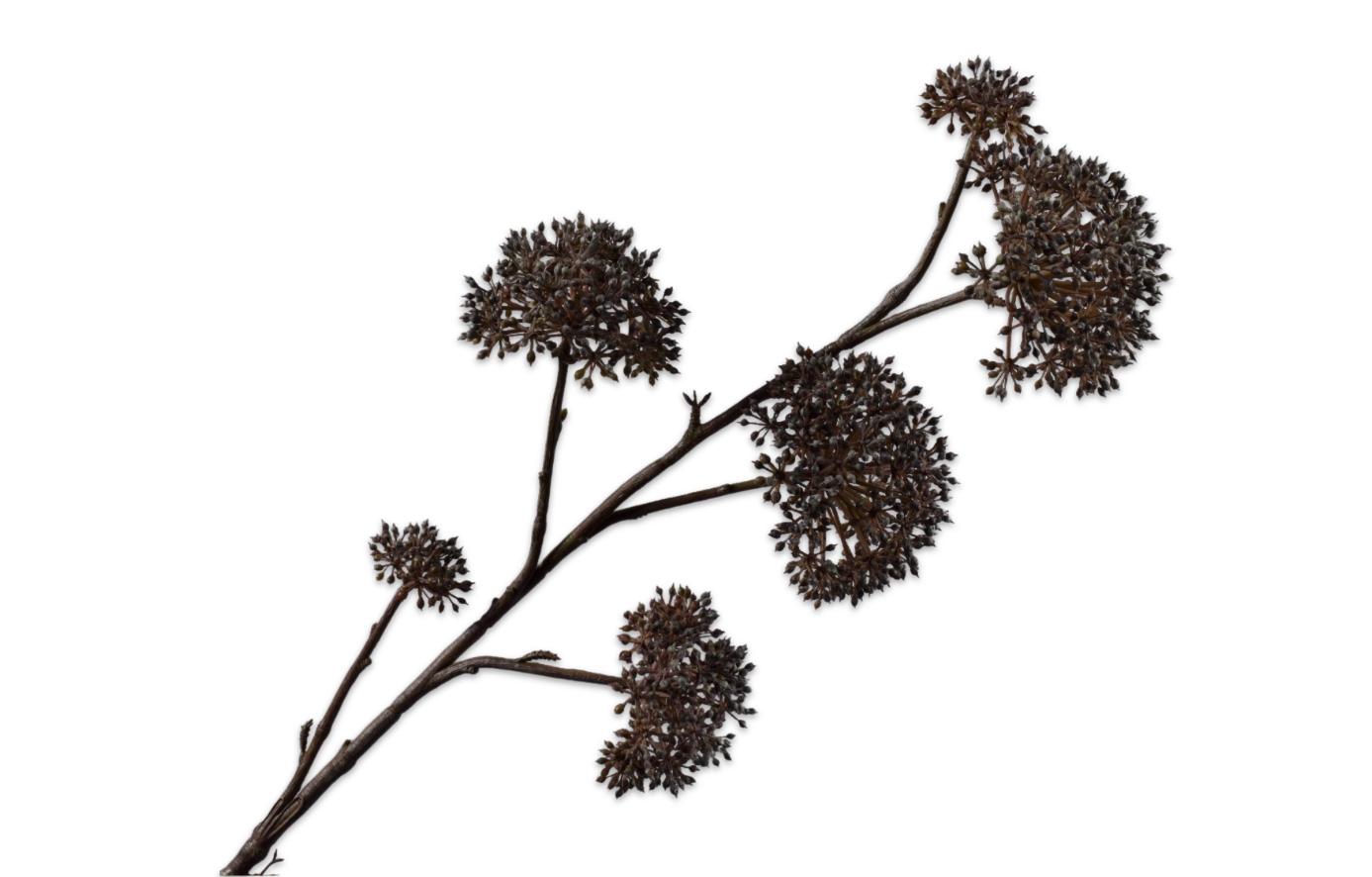 Queen An Lace Spray, Brun 97 cm / Silkeblomst