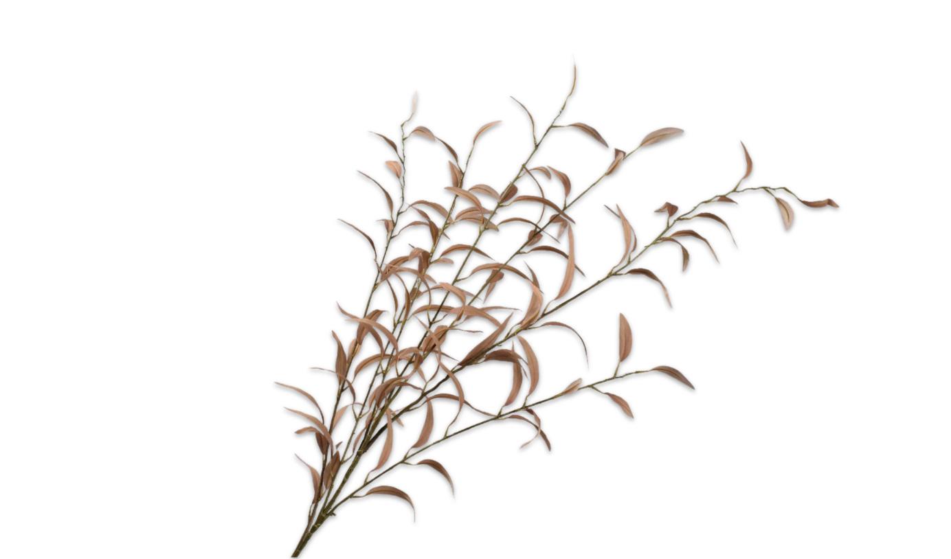 Eucalyptus Spray, Lysebrun 123 cm / Silkeblomst