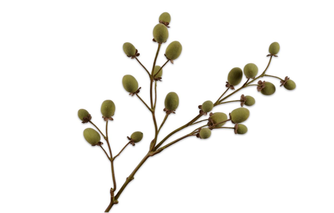 Frugtgren Kiwi, Grøn/Brun 76 cm / Silkeblomst