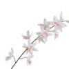 Oncidium Stem, Hvid 109 cm / Silkeblomst