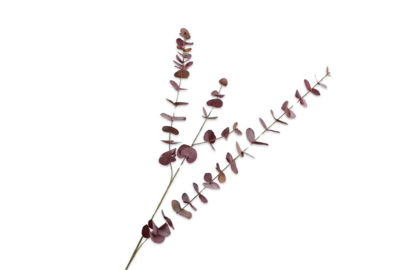 Eucalyptus Spray, Bordeaux 109 cm / Silkeblomst