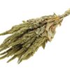 Amaranthus Green Tørret