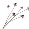 Rudbeckia Spray, Lavendel 95 cm / Silkeblomst