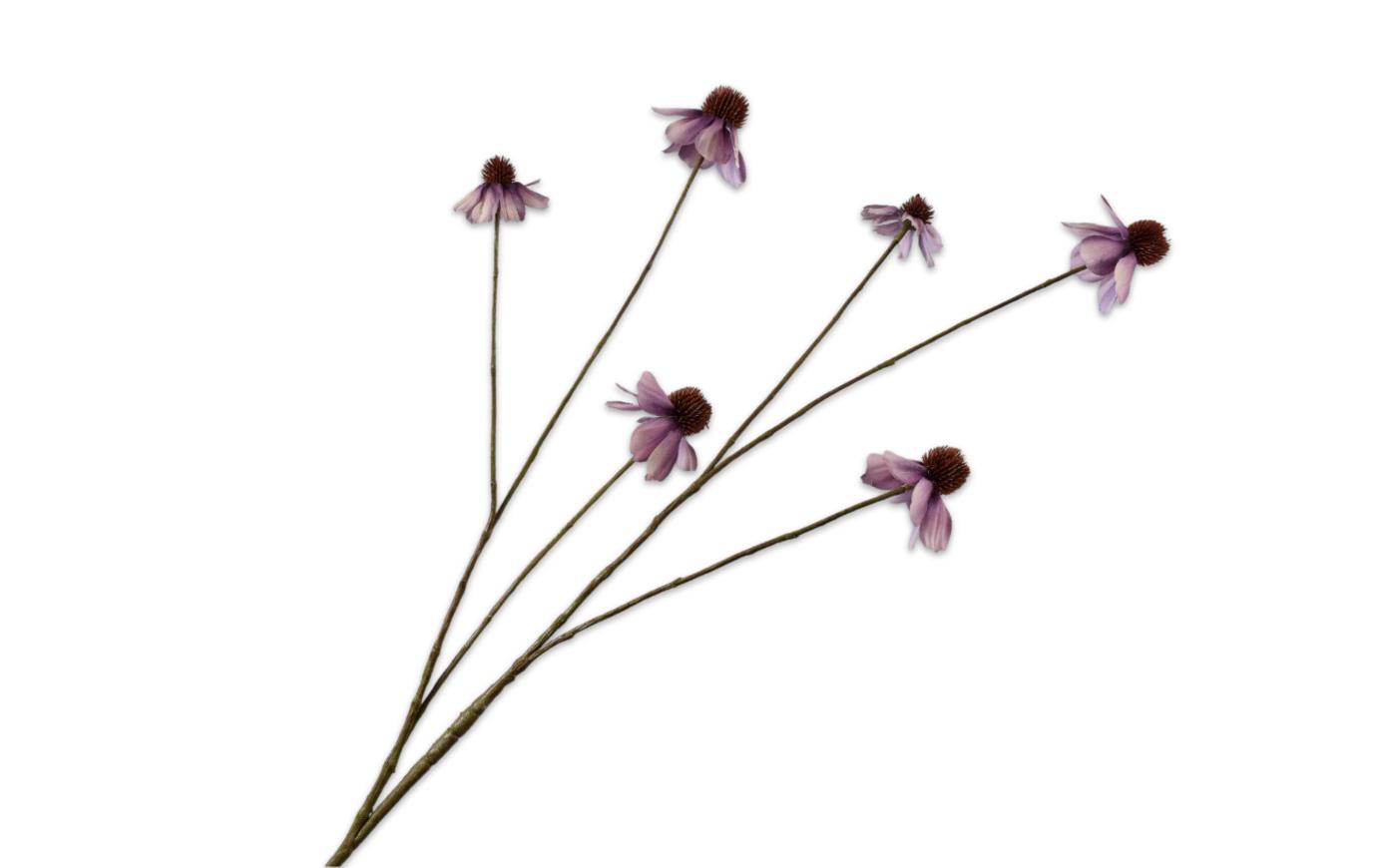 Rudbeckia Spray, Lavendel 95 cm / Silkeblomst