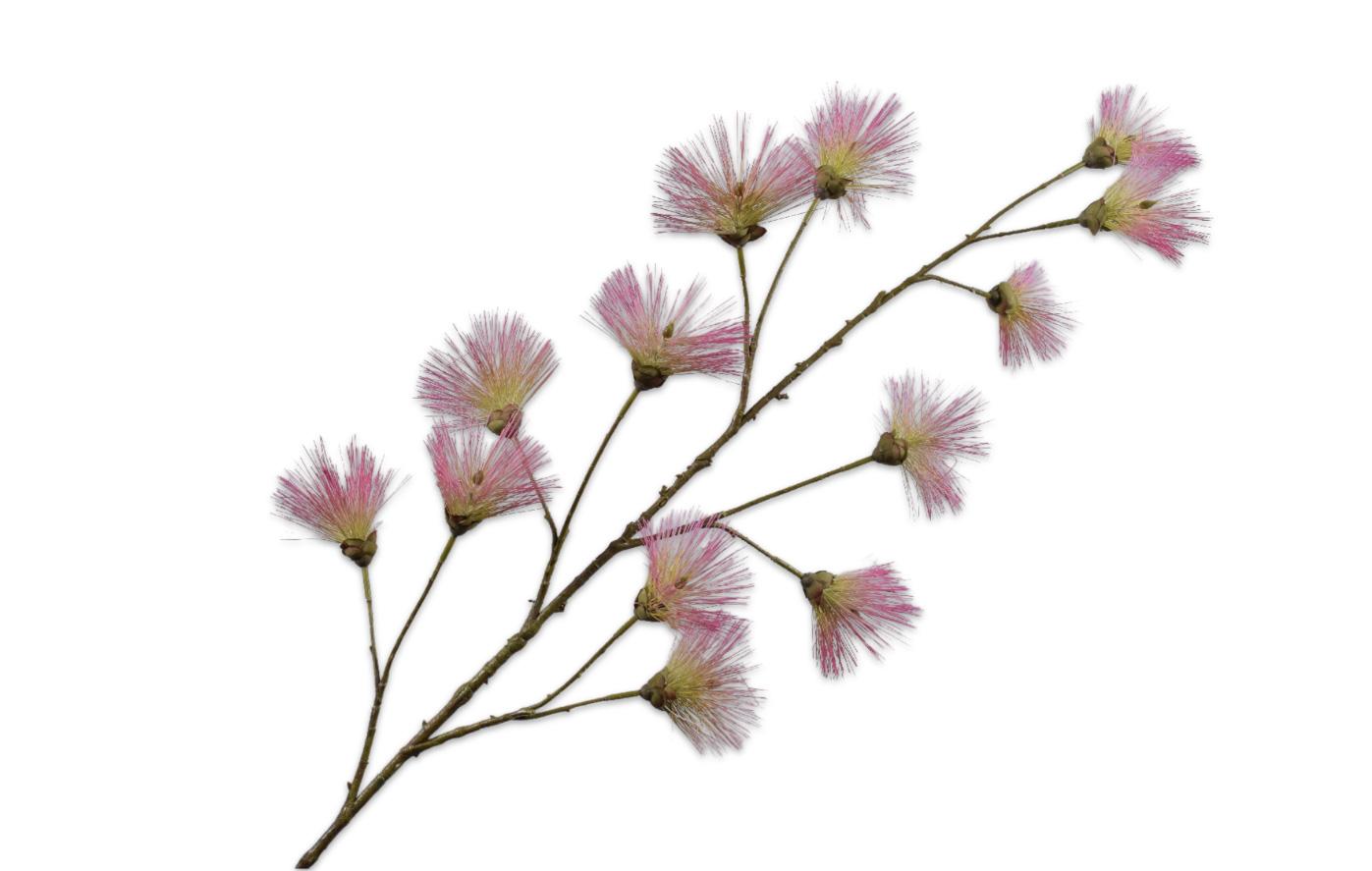Coniferous, Lyserød 144 cm / Silkeblomst