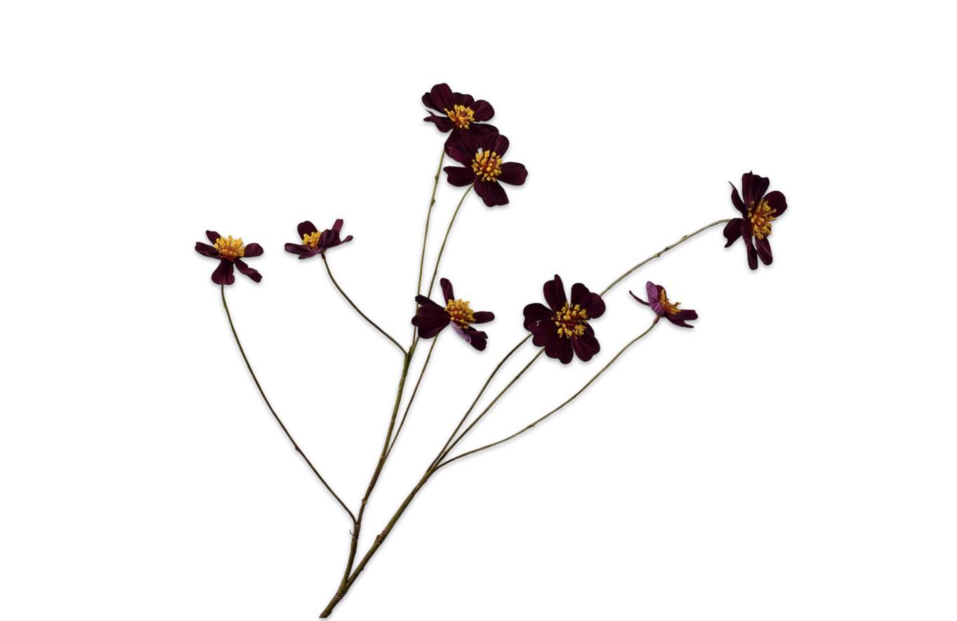 Cosmos Speay, Lilla 77 cm / Silkeblomst