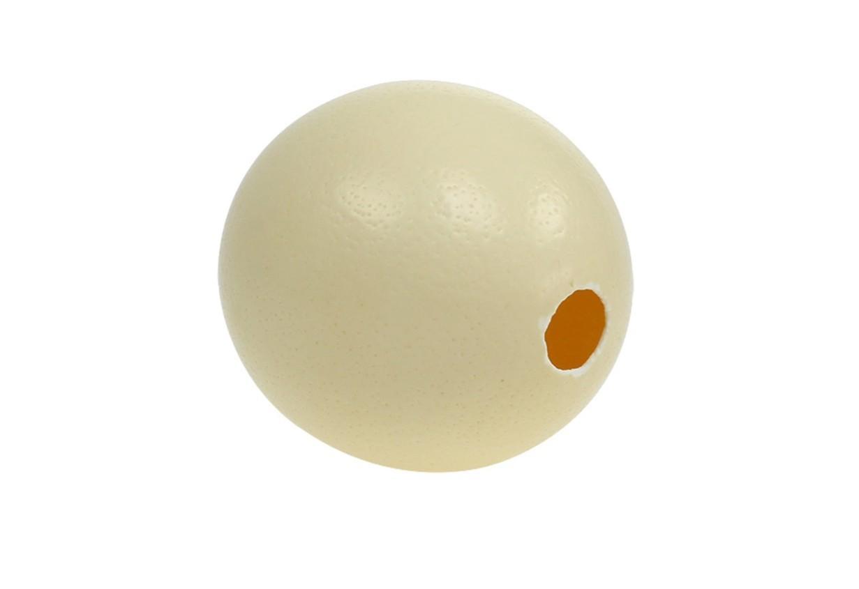 Æg