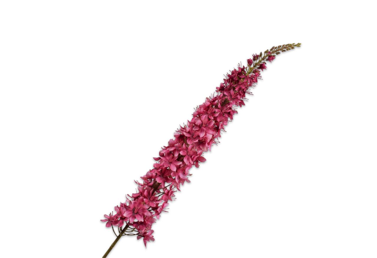 Eremures Stem, Lyserød 109 cm / Silkeblomst