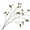 Hop Spray, Brun/Grøn 109 cm / Silkeblomst