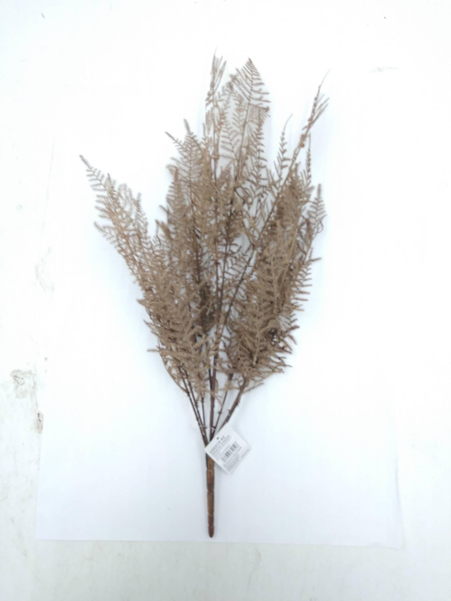 Bregnegren Brun 63 cm