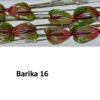 Anthurium (Andreanum Grp) Barika