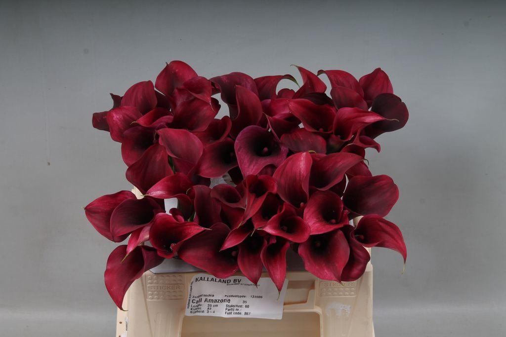 Snijbloemen overig