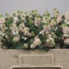 Symphoricarpos (Pink Berry Grp) Magical Autumn Blush