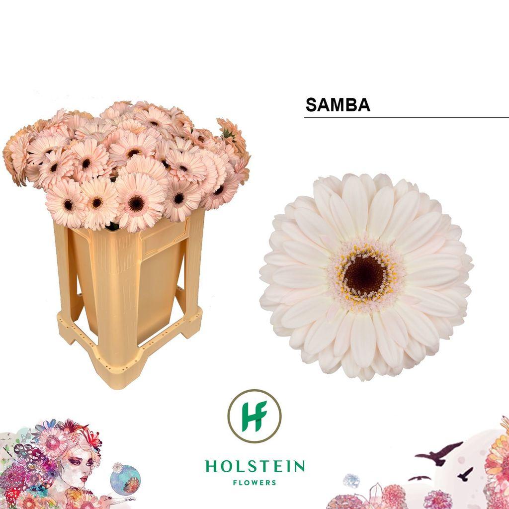 Snijbloemen overig