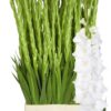 Snijbloemen overig