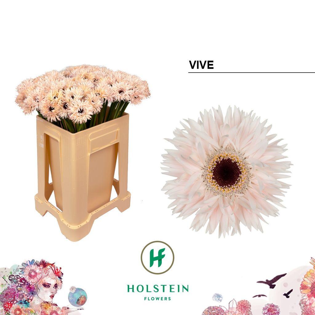 Snijbloemen overig