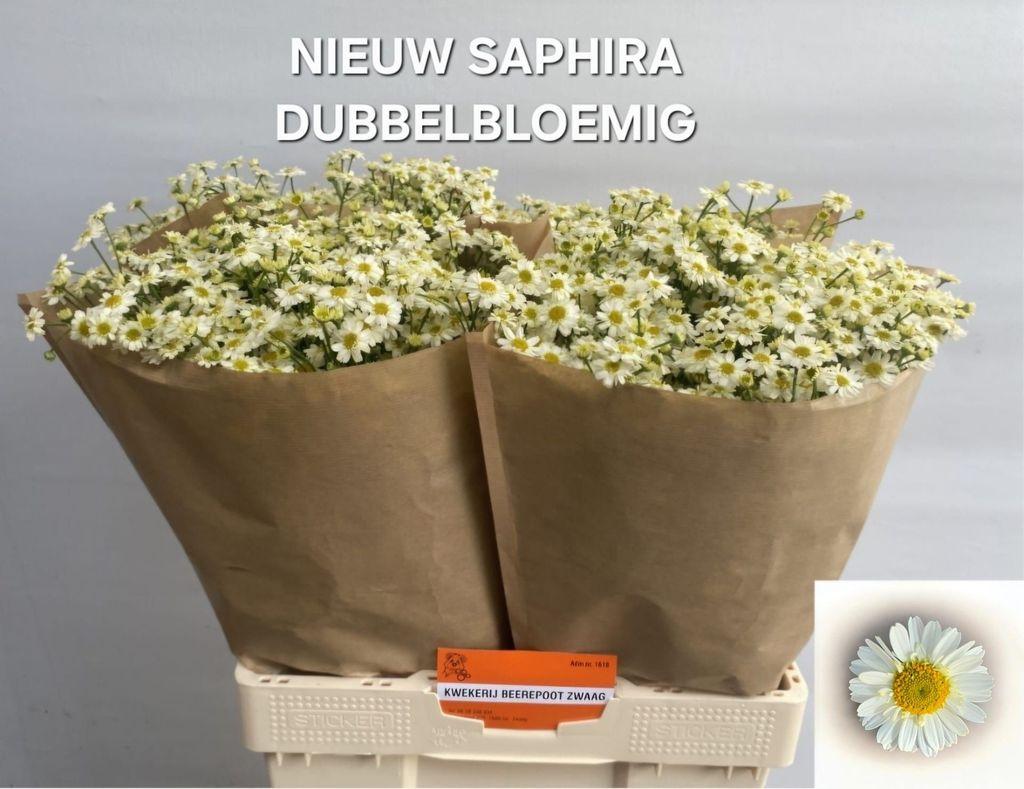 Snijbloemen overig