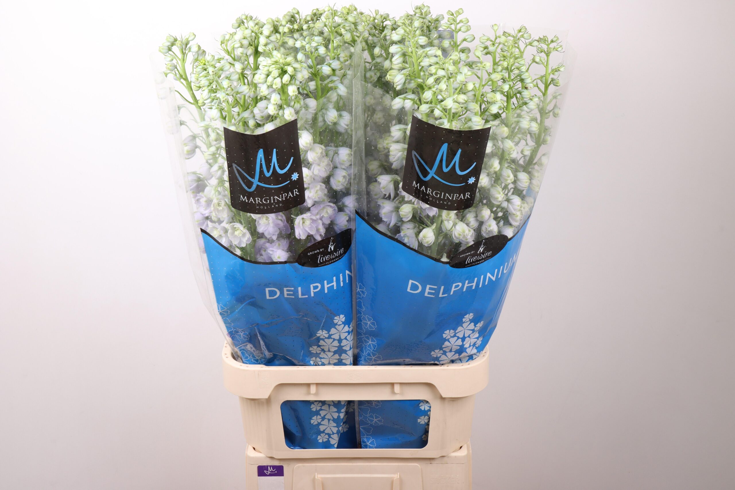 Snijbloemen overig