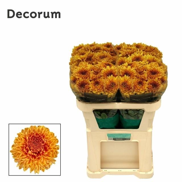 Snijbloemen overig