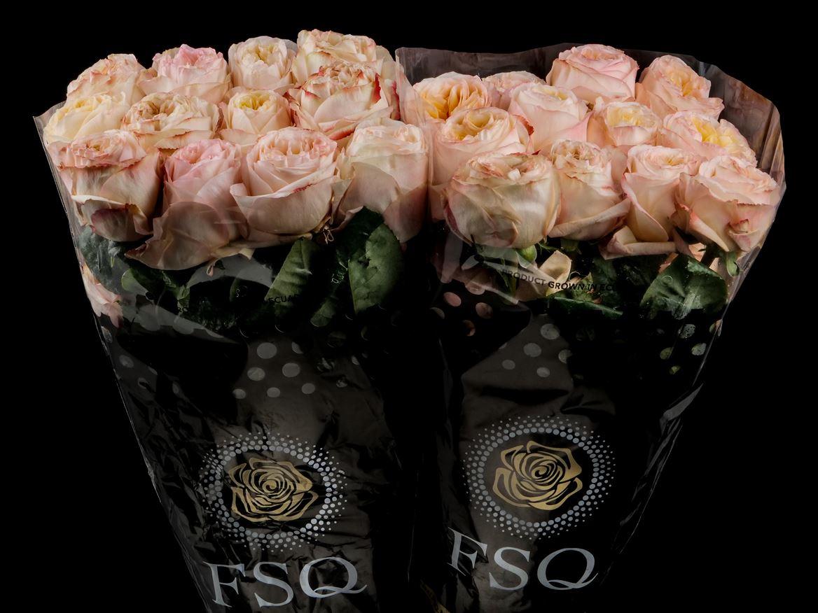 Rosa grootbloemig overig