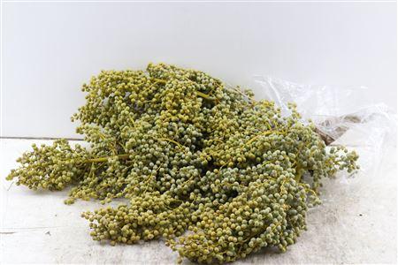 Dadels per kilo