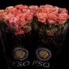 Rosa grootbloemig overig